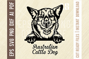 Australian Cattle Dog Peeking Dog