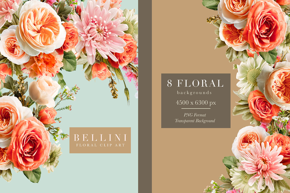 Bellini Floral Clip Art Collection, an Object Graphic by Eclectic Anthology (Photo 5 of 17)