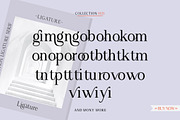 Angilena, a Serif Font by Mantype Studio (Thumbnail 11 of 14)