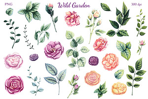 Wild Garden