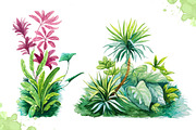 Watercolor tropical leaves set#2., a Decorative Illustration by AlexGreenArt (Thumbnail 2 of 7)