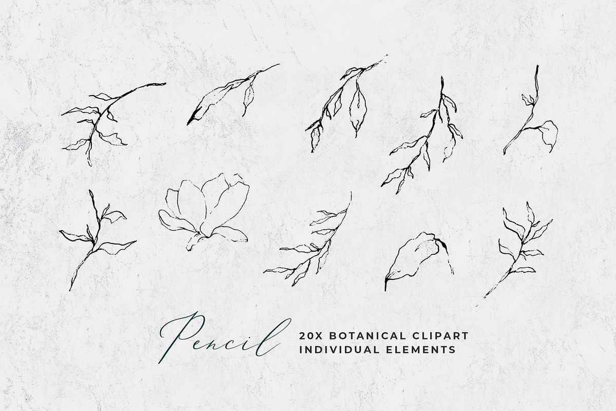 Fine Art Leaves Sketch& Illustration, a Decorative Illustration by WalaPalette (Photo 3 of 5)