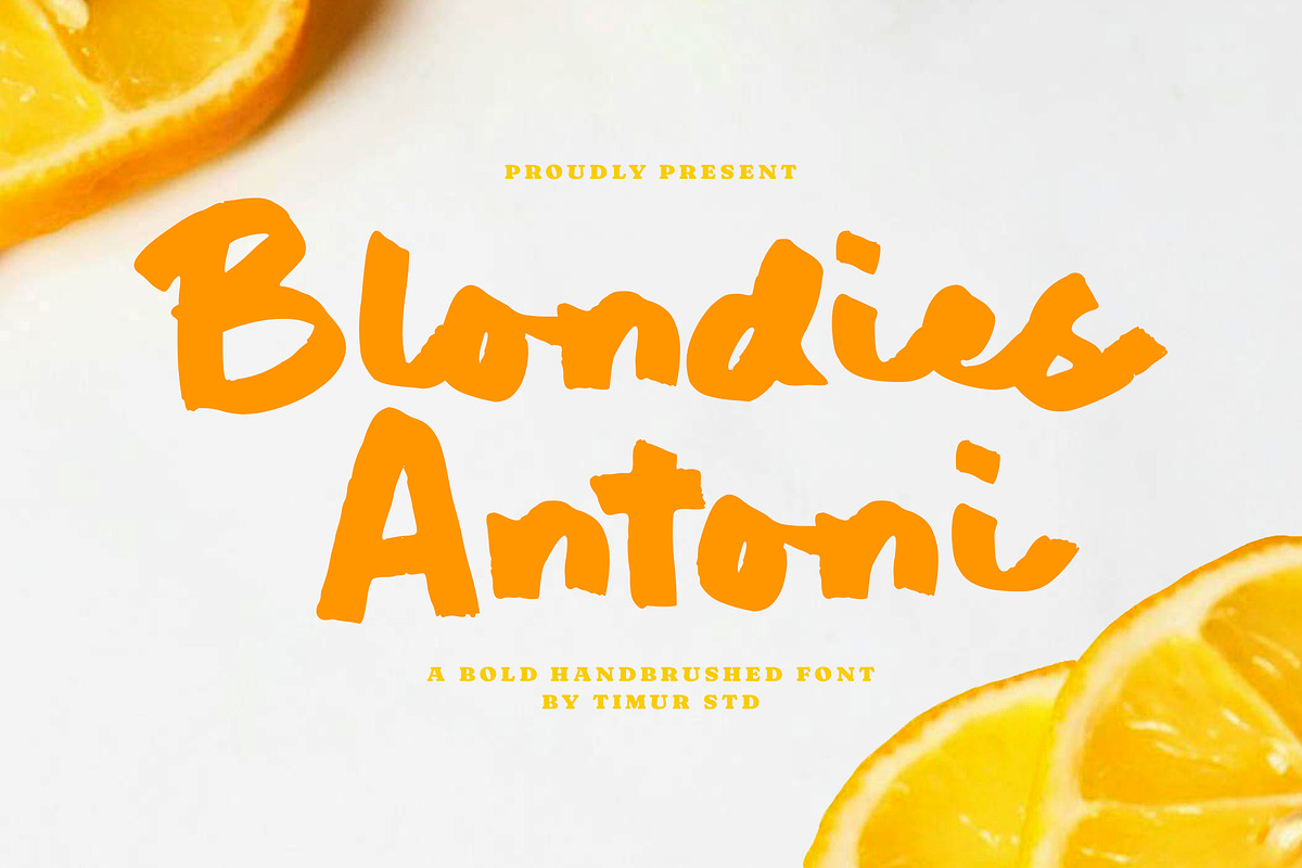Blondies Antoni Font, a Handwritten Font by Timurtype (Photo 1 of 7)