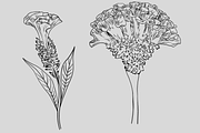 Oriental garden, an Object Graphic by VictoriaKStudio (Thumbnail 5 of 7)