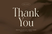 FRISTA || modern ligature, a Serif Font by ToniStudio (Thumbnail 12 of 12)