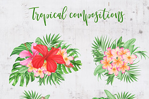 Tropical Leaves And Flowers Clipart