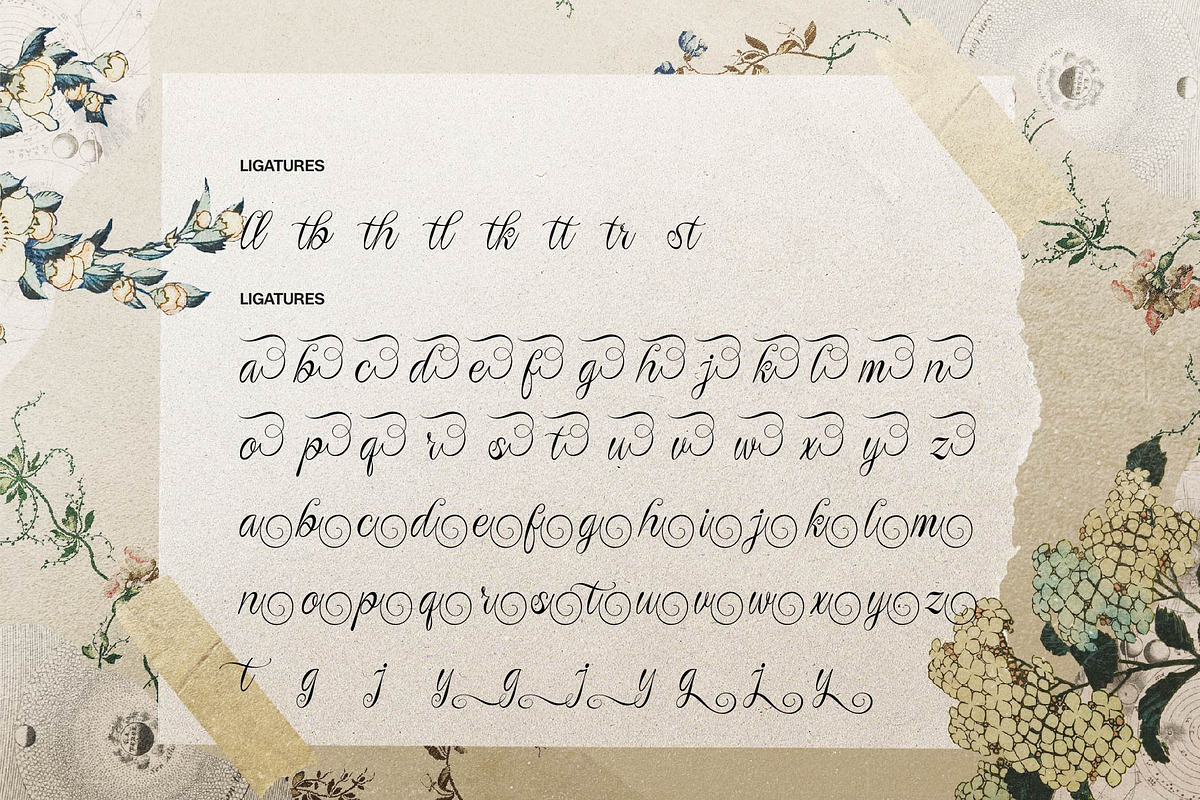 Rustaliya | Classic Elegant Script, a Script Font by gracetype_studio (Photo 11 of 11)