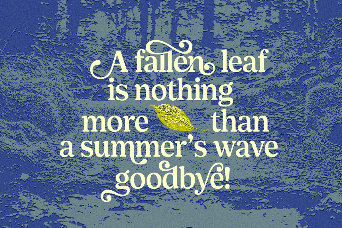 Shelian, a Serif Font by Seniors (Photo 11 of 15)