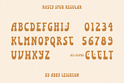 RUSTY SPUR by Abby Leighton, a Slab Serif Font by Abby Leighton Studio (Thumbnail 6 of 7)