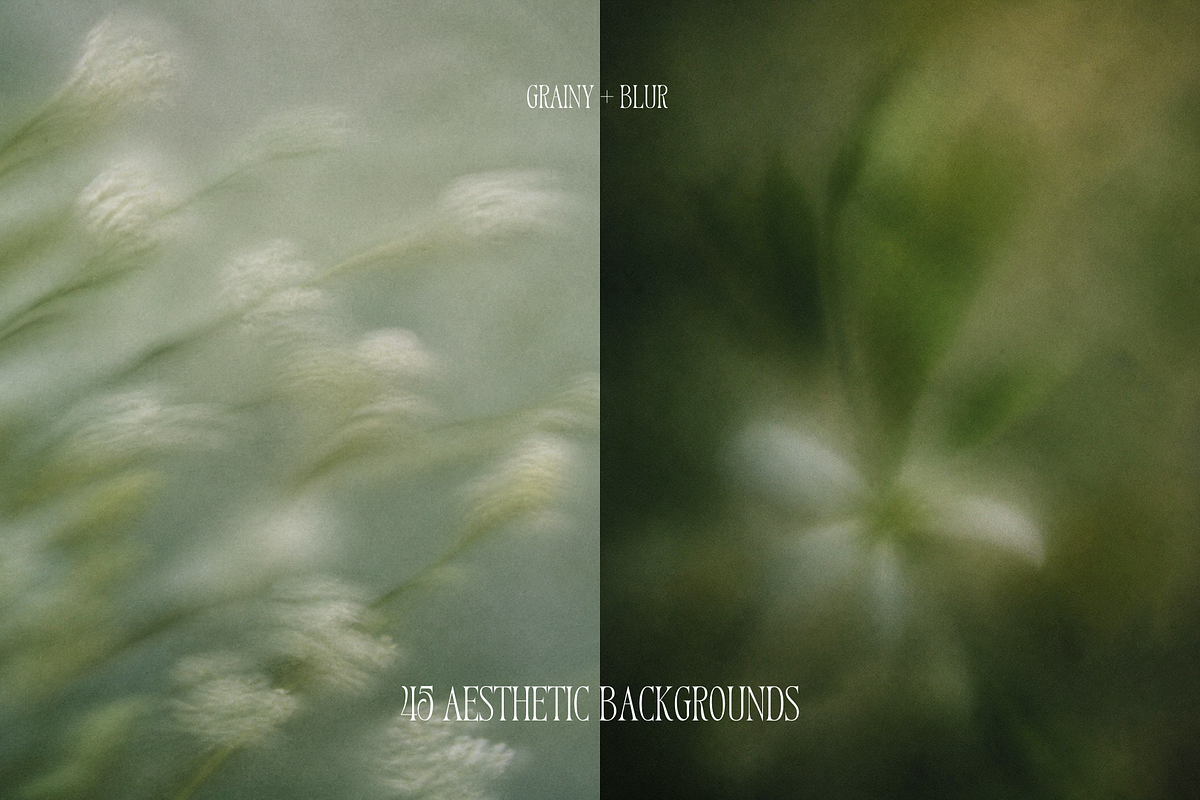 Dreamy Blurry Flower Backgrounds, a Background Graphic by Refancy (Photo 3 of 12)