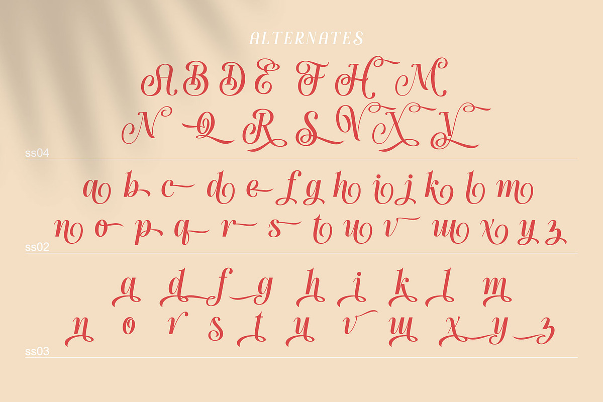 Handy Quomte, a Script Font by alit design (Photo 10 of 18)
