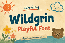 Wildgrin Font: Bold Playful