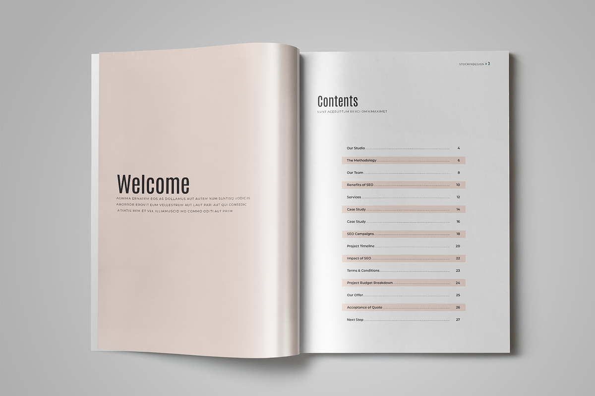 SEO Proposal, a Brochure Template by StockInDesign (Photo 2 of 12)