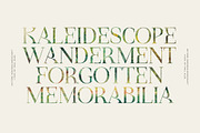 Idealist Serif, a Serif Font by Nicky Laatz (Thumbnail 17 of 34)