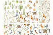 70% off. Bundle. Woodland animals., an Animal Illustration by TaPilipa (Thumbnail 7 of 38)