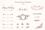 52 Botanical Frames & Ornaments, an Object Graphic by Christine Krahl (Thumbnail 5 of 8)