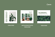 Sage Green Canva Template, a Social Media Template by Moodwave Studio (Thumbnail 5 of 10)