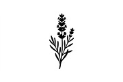 Lavender Botanical Silhouette Set, an Object Graphic by Designs_River (Thumbnail 3 of 3)