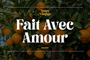 Brasty Vintage - Retro Serif Font, a Serif Font by Holyline Design (Thumbnail 5 of 16)