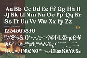 Rustic Delight - Bold Serif Font, a Serif Font by timelesstype.co (Thumbnail 18 of 20)