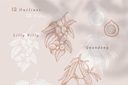 Australian Bush Foods Set, a Food Illustration by rouxsupplyco (Thumbnail 6 of 8)