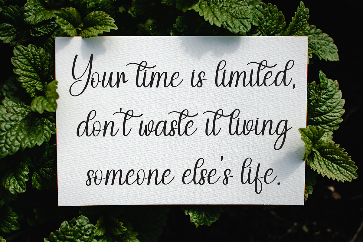 Spooky Society | Script Font, a Handwritten Font by Scratchones (Photo 5 of 9)