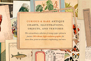 Dark Academia: 300 Vintage Ephemera, an Object Graphic by The Object Atlas (Thumbnail 2 of 9)