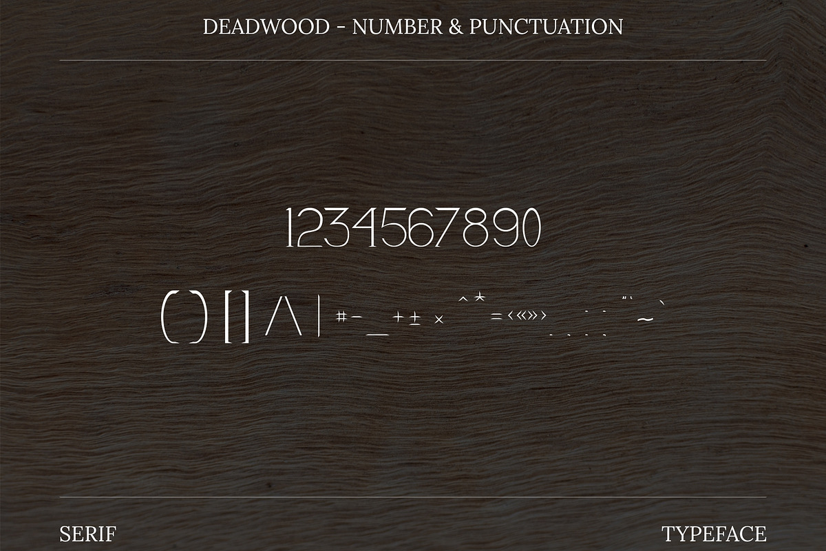 Dead Wood Serif Typeface, a Serif Font by infernostudio3 (Photo 7 of 10)