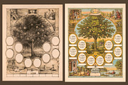 Antique Family Records - Blank, a Texture Graphic by Blue Line Design (Thumbnail 13 of 17)