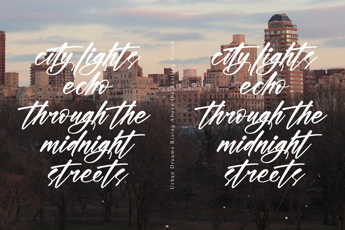 Brighters Radiant, a Handwritten Font by operatype.co (Photo 2 of 15)