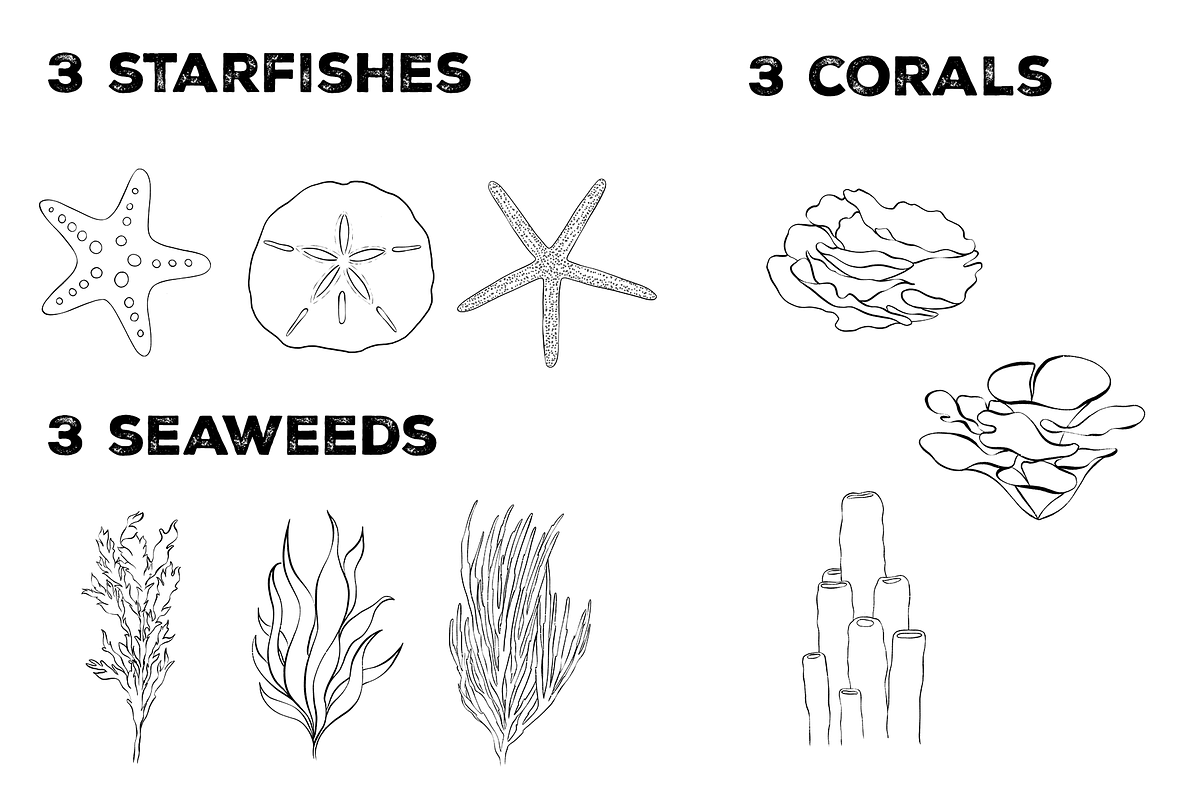 Sea Hand drawn Clipart - PNG, a Decorative Illustration by Ink by Stefi (Photo 3 of 4)