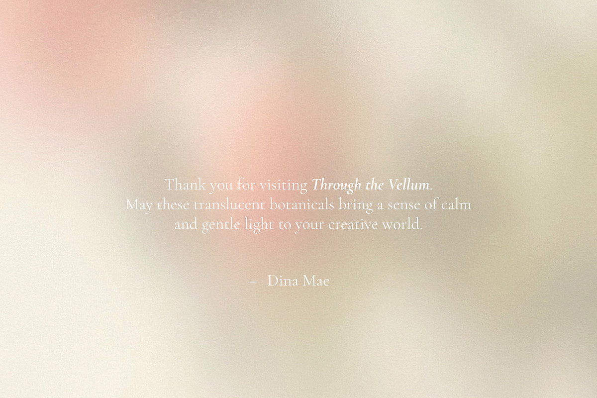 Through the Vellum - Backgrounds, a Background Graphic by Dina Mae (Photo 13 of 13)