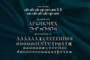 Bahgian Serif Fonts, a Serif Font by mahstudios (Thumbnail 12 of 14)