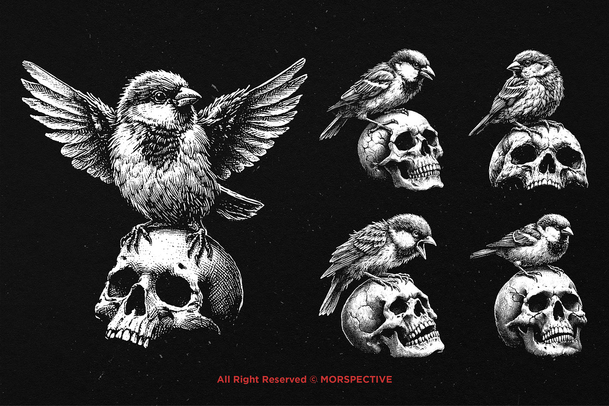 10 Bundle Dark Art Sparrow Bird, an Illustration by Morspective (Photo 5 of 7)