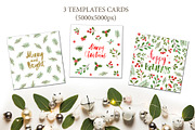 Xmas winter plants. Watercolor set, a Seasonal Illustration by alenaganzhela (Thumbnail 4 of 9)
