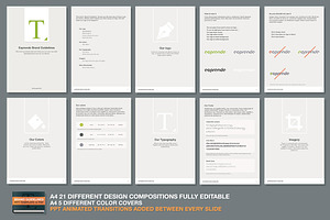 PPT Brand Guidelines Template