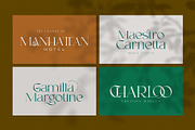 Ronners | An Elegant Serif Font, a Sans Serif Font by Andrimada Creative (Thumbnail 7 of 14)