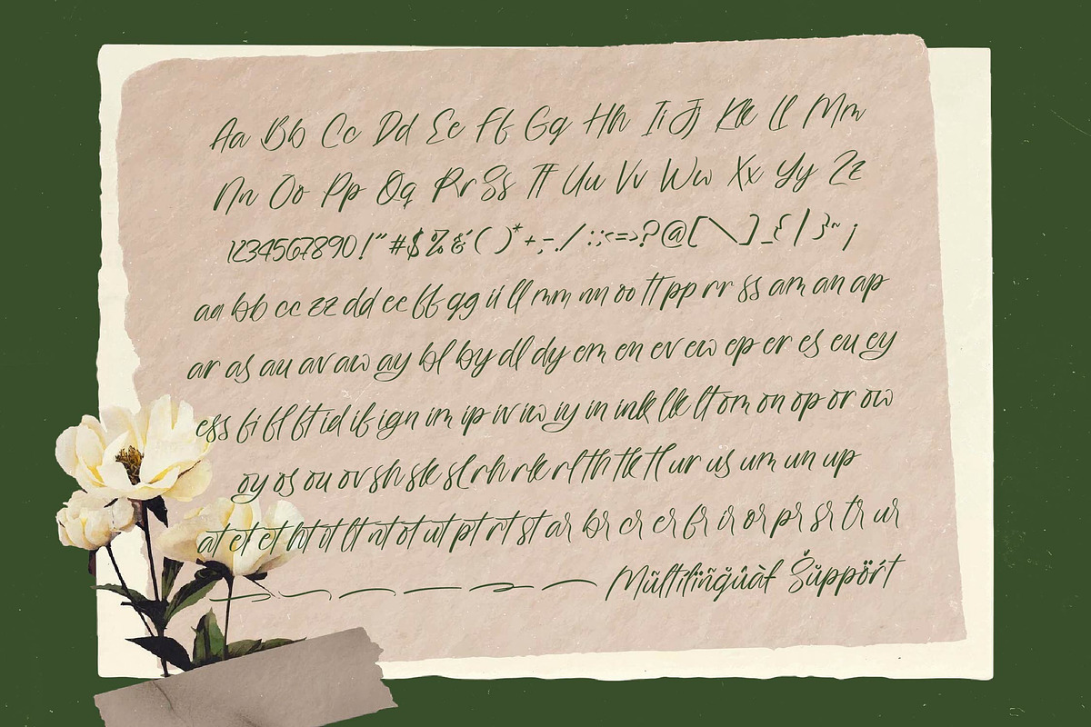 Ghostoy Charless Aesthetic Script, a Script Font by stylishtype.co (Photo 13 of 15)