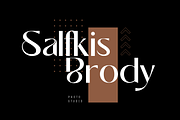 Begies - Modern Display Font, a Sans Serif Font by Sronstudio (Thumbnail 11 of 14)