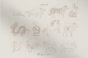 Zodiac Collection, an Animal Illustration by PatrushevaYana (Thumbnail 7 of 21)