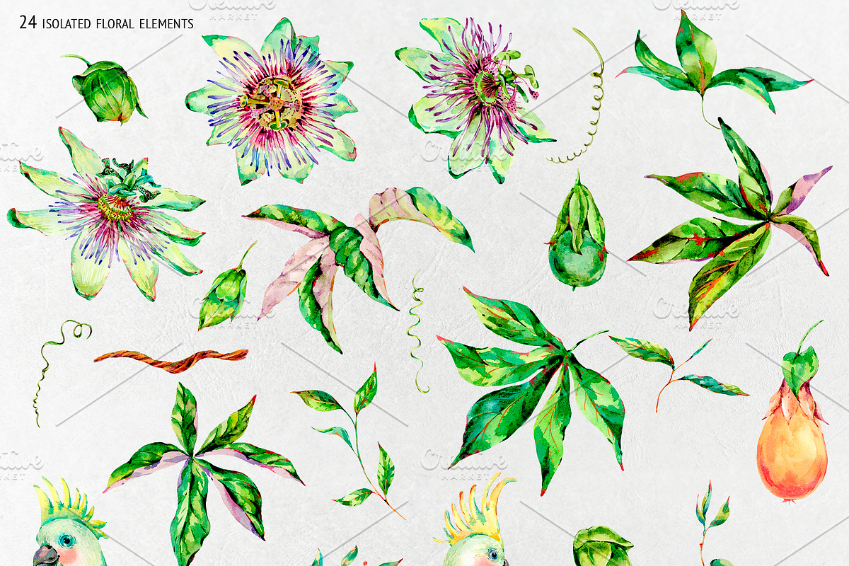 Watercolor white summer, an Illustration by Belusuab (Photo 5 of 8)