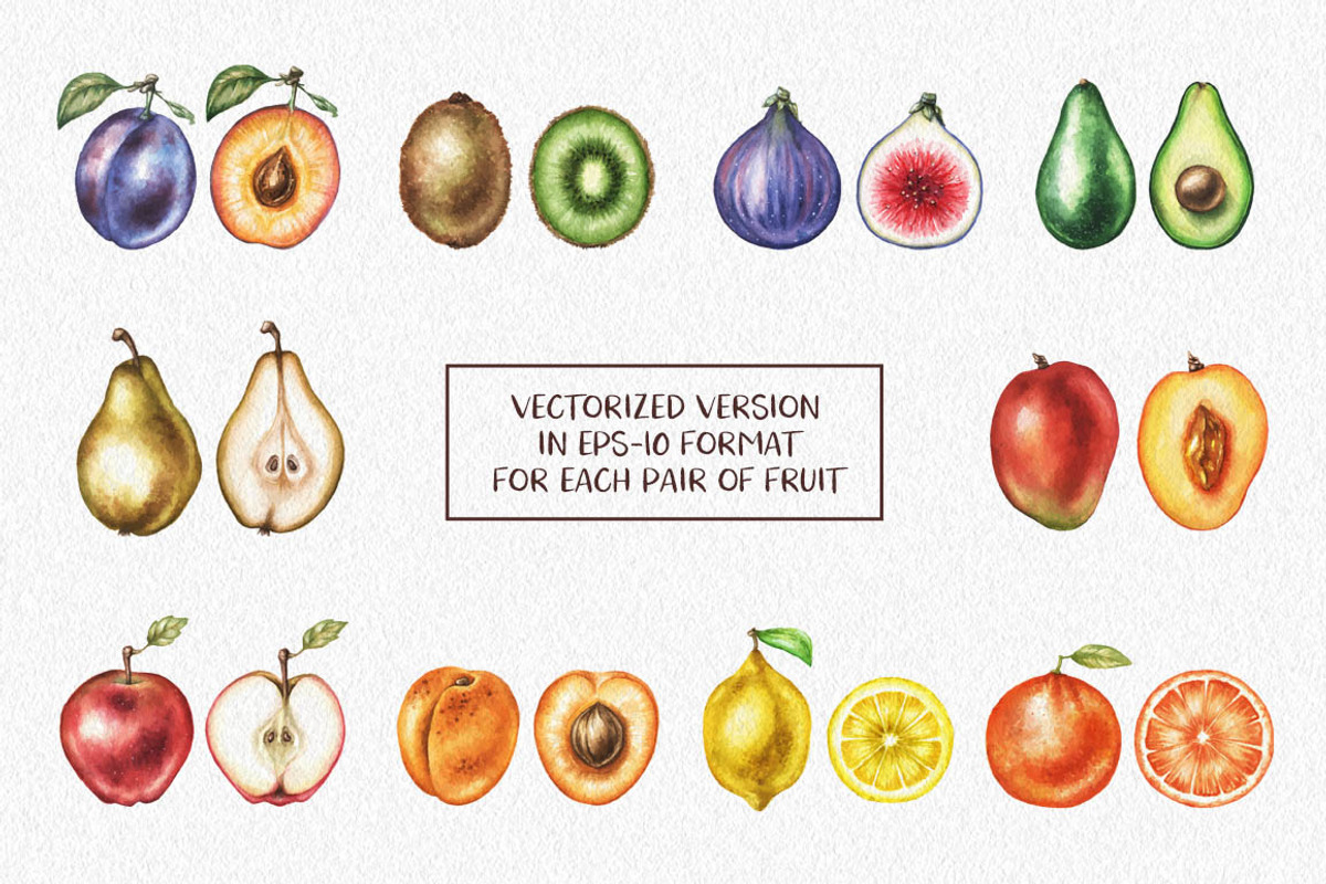 Watercolor Fruit Coctail, a Food Illustration by Chelovector (Photo 3 of 5)
