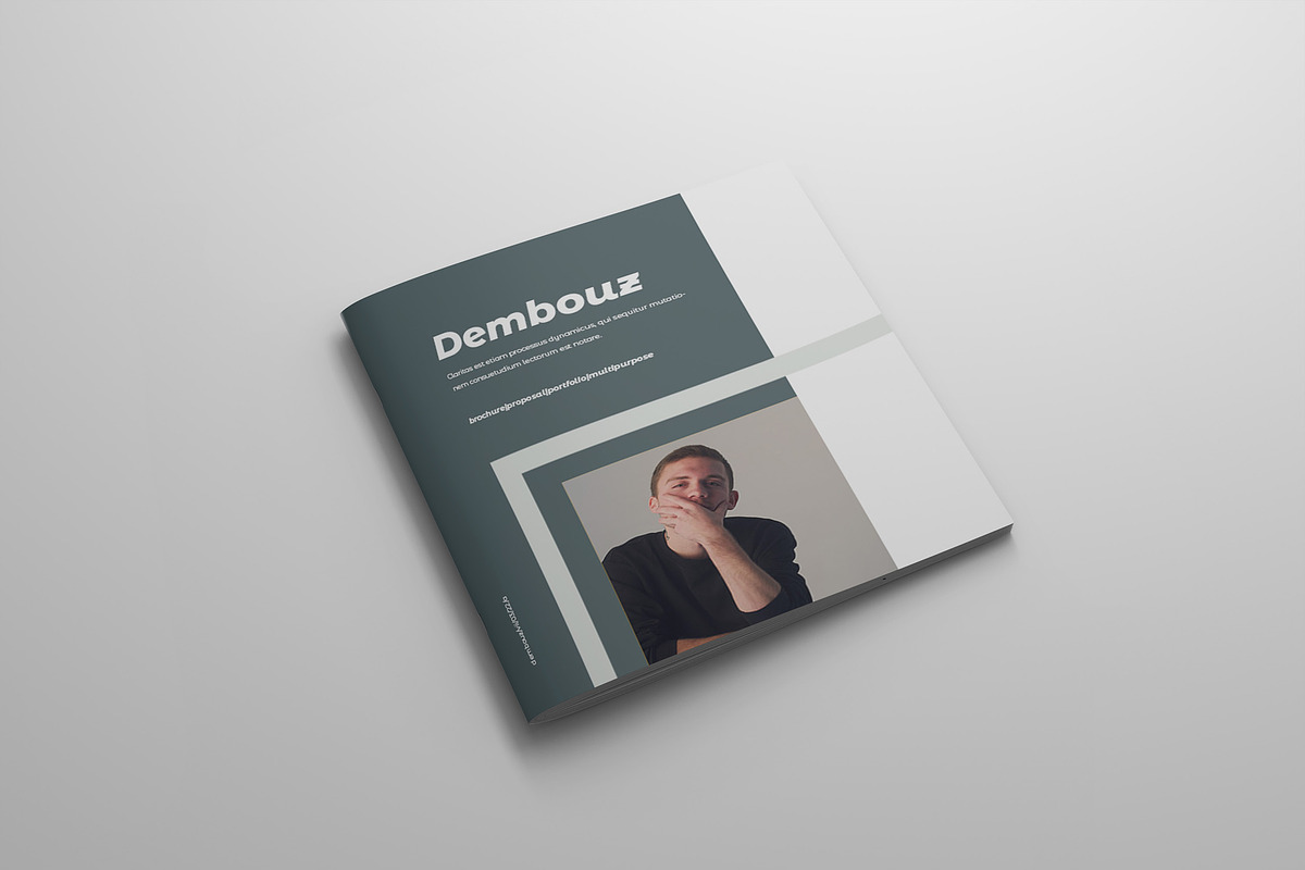 Dembouz - Brochures, a Brochure Template by Bokuto (Photo 12 of 17)