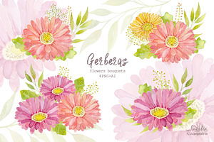 Watercolor Set Of Gerbera Flowers