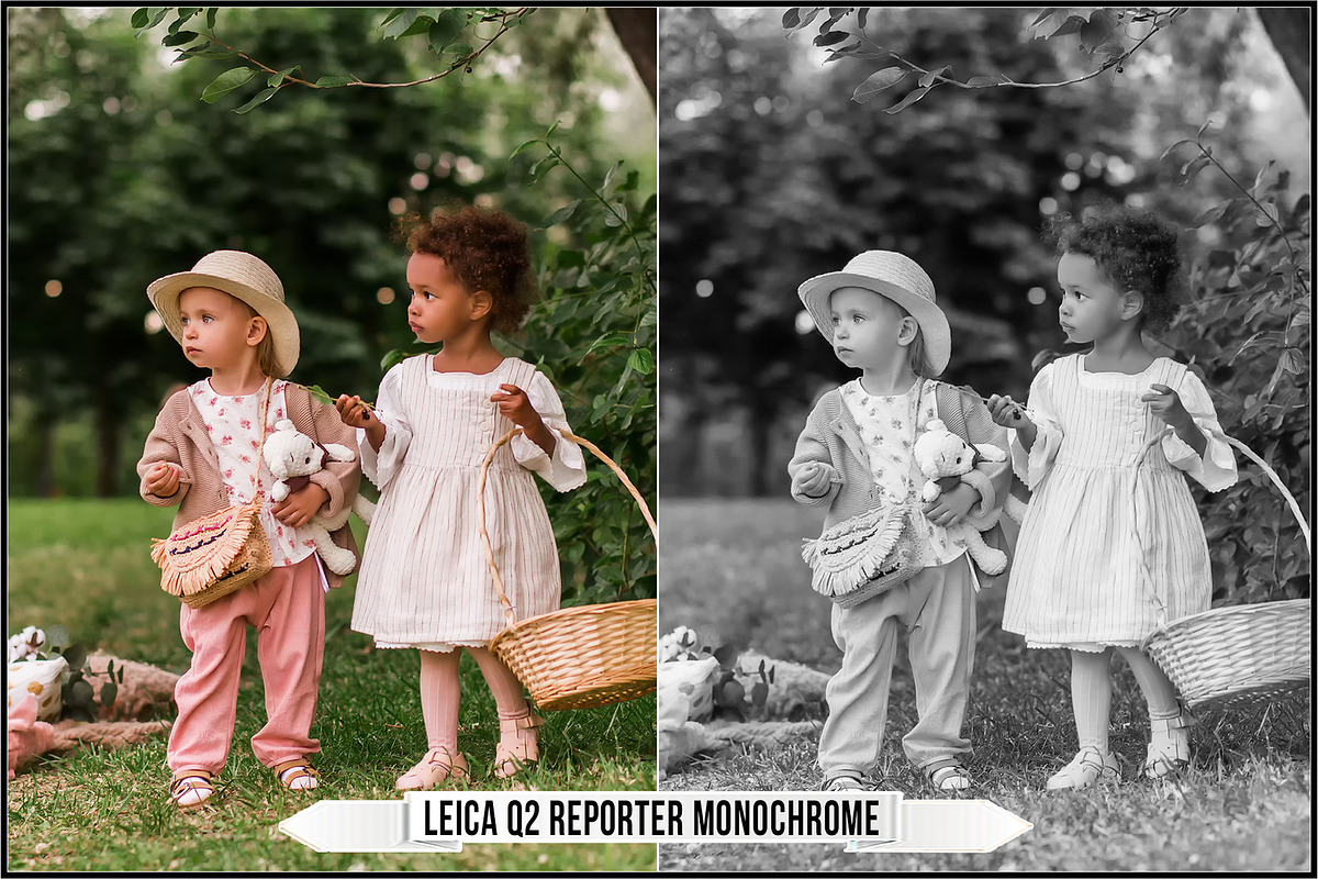 Leica Film Styles, a Plug-in Add-On by Raztrend (Photo 9 of 30)