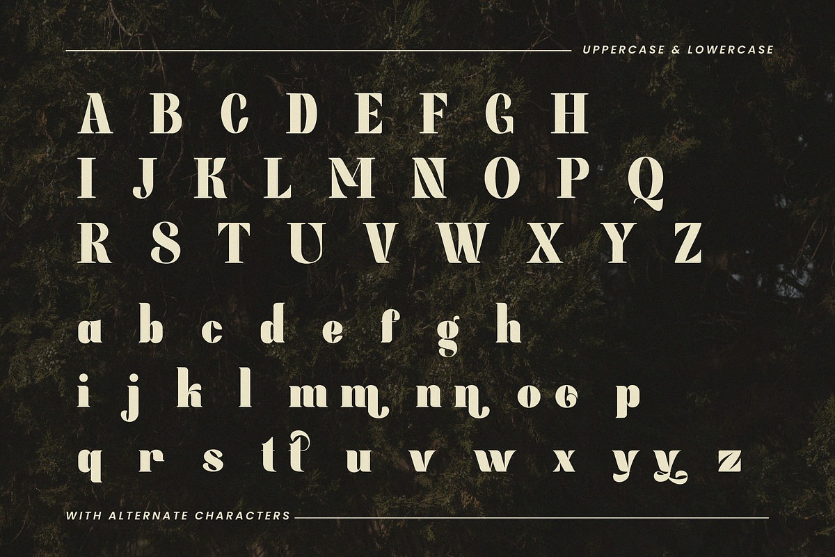 Lasthen - Serif Font, a Serif Font by Randi Irvan | Rvandtype (Photo 10 of 12)