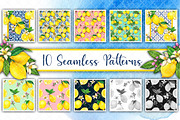 Watercolor mediterranean lemon set, a Decorative Illustration by angychan (Thumbnail 3 of 5)