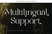 Maiken Modern Stylish Font, a Serif Font by Letterena Studios (Thumbnail 12 of 15)