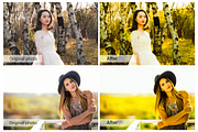 Phoniex Lightroom Presets, an Action Add-On by DreamColor (Thumbnail 7 of 10)