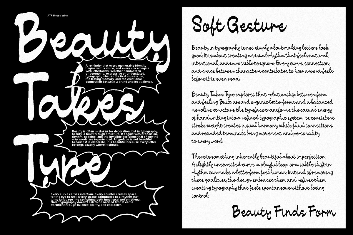 Messy Wins Alt - Bold Script Font, a Script Font by Typeparties (Photo 6 of 13)